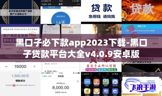 黑口子必下款app2023下载-黑口子贷款平台大全v4.0.9安卓版