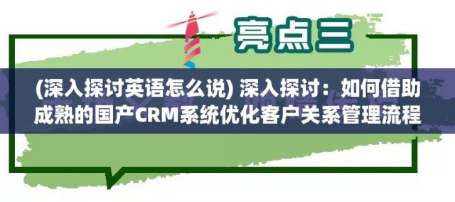 (深入探讨英语怎么说) 深入探讨：如何借助成熟的国产CRM系统优化客户关系管理流程？