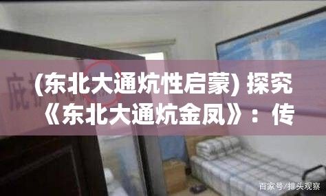 (东北大通炕性启蒙) 探究《东北大通炕金凤》：传统生活与文化的交织——如何影响了现代东北人的生活方式?