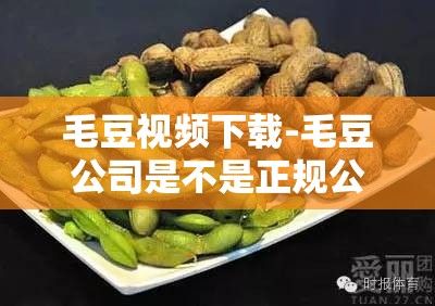 毛豆视频下载-毛豆公司是不是正规公司v0.2.9官方版