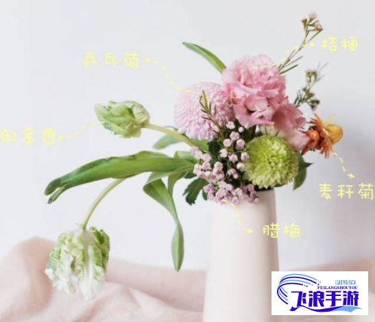 (菊 插花) 插菊网优势盘点：颠覆传统视野，挖掘文化深意，如何影响现代设计趋势？探索背后故事及未来展望。