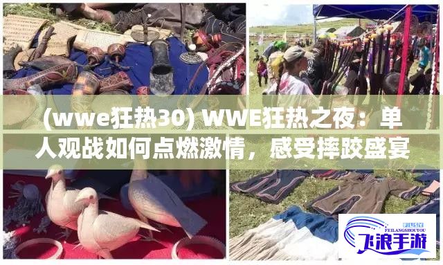 (wwe狂热30) WWE狂热之夜：单人观战如何点燃激情，感受摔跤盛宴的独特魅力