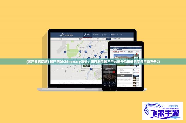 (国产知名网站) 国产网站ChinaGary浅析：如何利用国产平台提升品牌知名度与市场竞争力